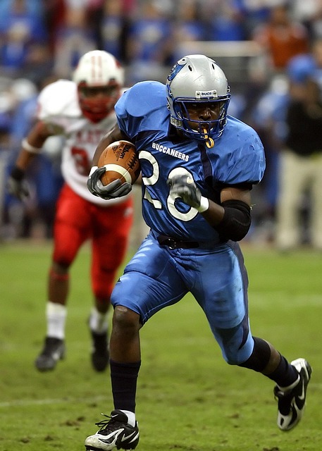 以其惊人的 以其惊人的