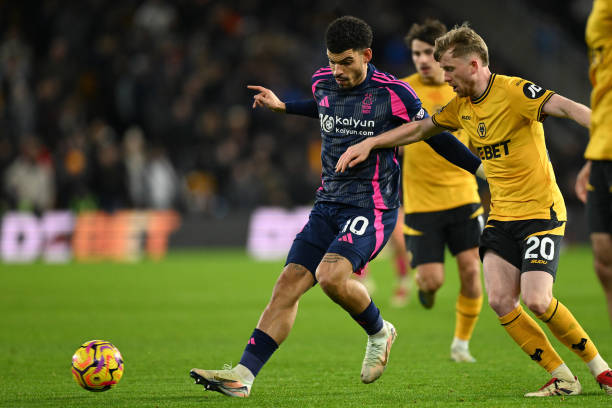 的指导下 的指导下