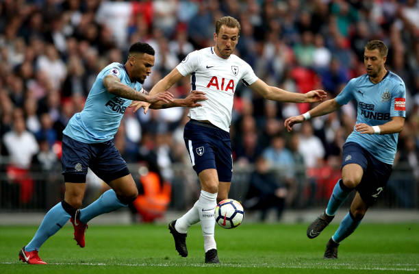 勇士队的 勇士队的